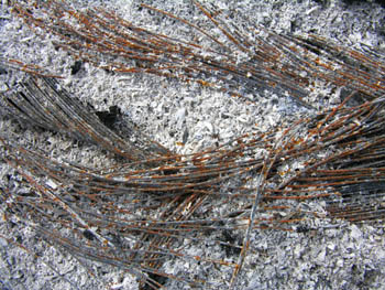 Abstraction 73