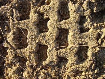 Abstraction 34